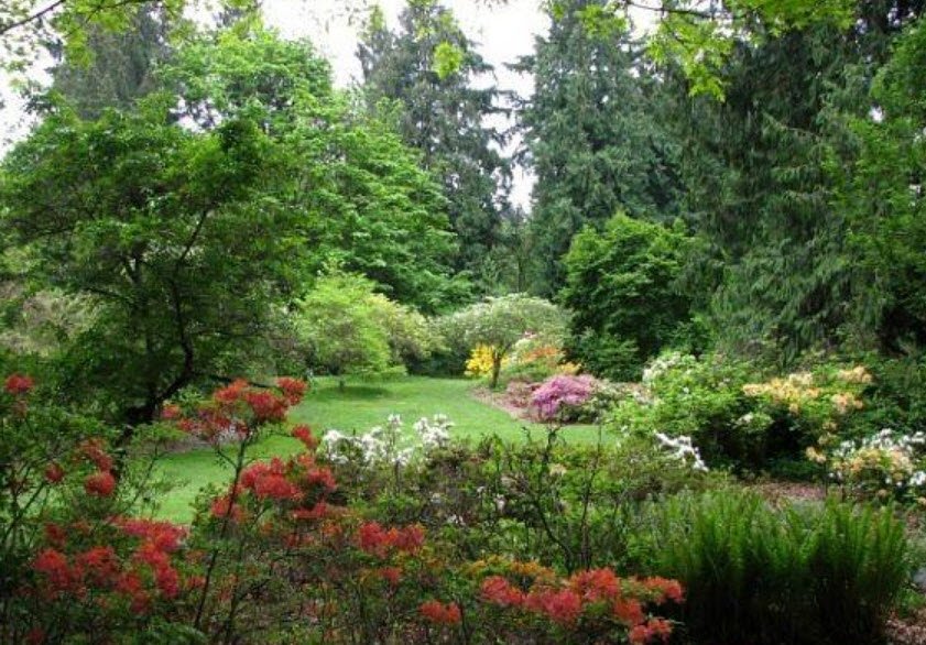 Arboretum de Combe Noire , , France